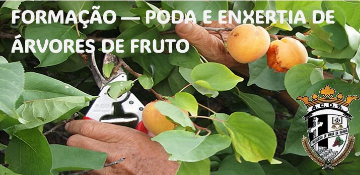 Encontram-se abertas as inscrições para a formação de “Poda e Enxertia de Árvores de Fruto” (25 Horas)