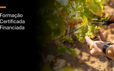 Formação Certificada Financiada – maio de 2026