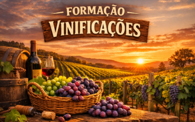 Formação: Vinificações (50H)