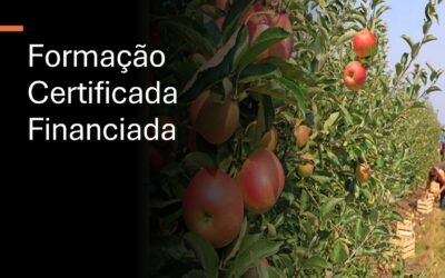 Formação – Executar as técnicas de condução de culturas em pomares (35H)